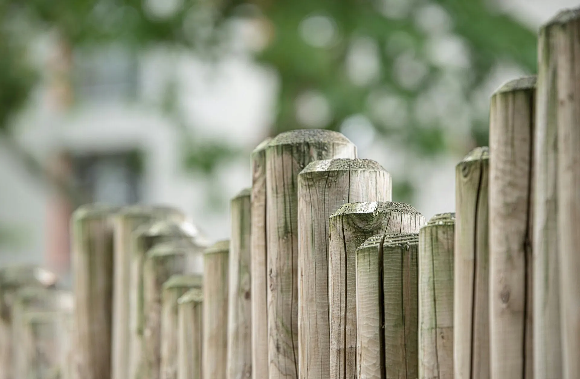 Nahaufnahme eines Gartenzauns aus abgerundeten Holzlatten
